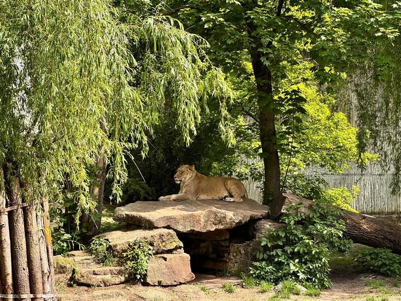 Philosophie-Unterricht im Zoo